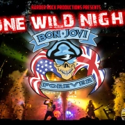Bon Jovi One Wild Night