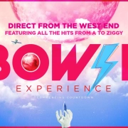 Bowie Experience