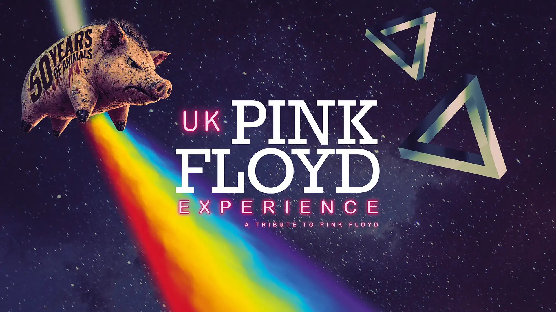 Pink Floyd 50